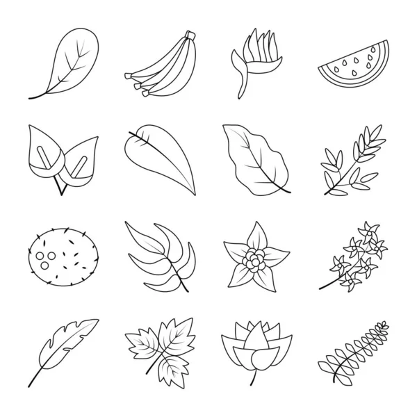 Flores tropicais e frutas conjunto de ícones, estilo de linha — Vetor de Stock