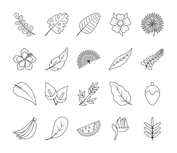 Tropical fruist and tropical leaf icon set, estilo de linha —  Vetores de Stock