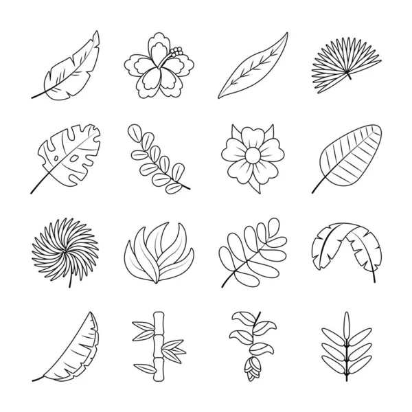 Flores e folha tropical conjunto de ícones, estilo de linha —  Vetores de Stock