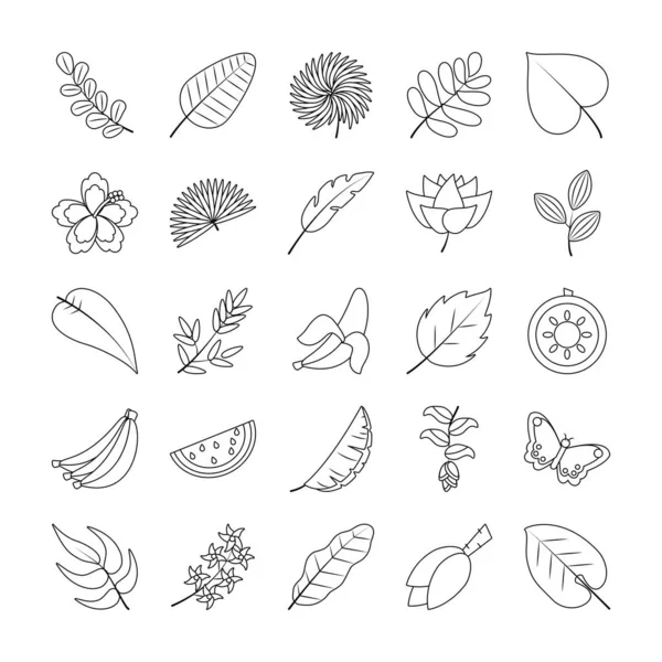 Conjunto de iconos de frutas y flores tropicales, estilo línea — Vector de stock