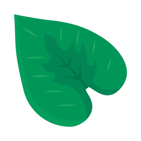 Ikona liści anthurium, kolorowy design — Wektor stockowy