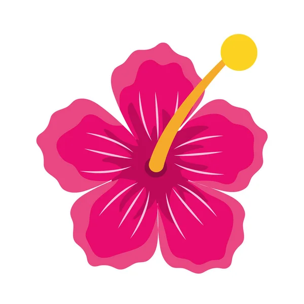 ハワイの花のアイコンカラフルなデザイン — ストックベクタ