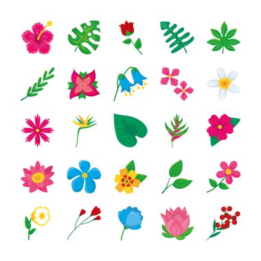 Tropikal yapraklar ve tropikal çiçek ikonu seti, renkli tasarım