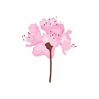 pembe çiçek simgesi, ayrıntılı biçim