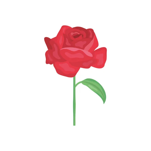 Rode roos pictogram, gedetailleerde stijl — Stockvector