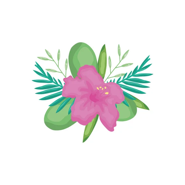 Flor de hibisco e folhas verdes, estilo detalhado — Vetor de Stock