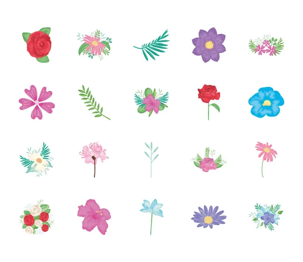 Ιβίσκος λουλούδι και διακοσμητικά λουλούδια εικονίδιο σετ, λεπτομερές στυλ — Διανυσματικό Αρχείο