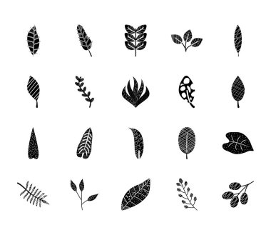 muz yaprağı ve soyut tropikal yaprak ikonu seti, siluet biçimi