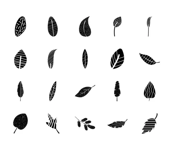 Symbolset aus abstrakten tropischen Blättern und rundem Blatt, Silhouettenstil — Stockvektor