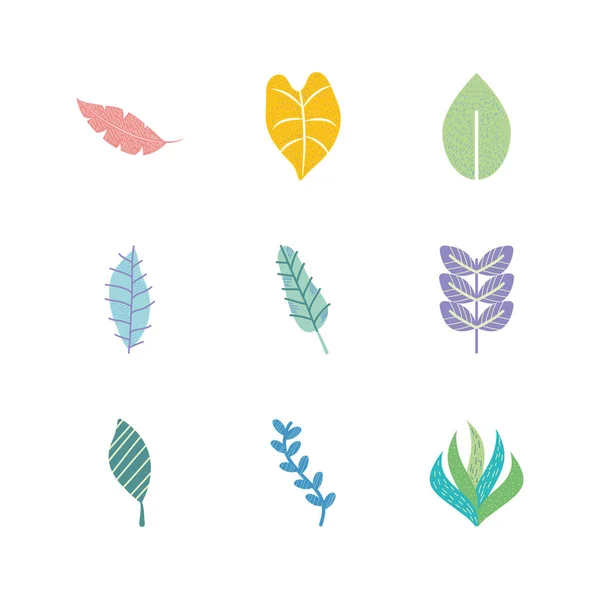 Symbolset aus tropischen Blättern und Elefantenohrblatt, flacher Stil — Stockvektor