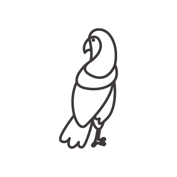 Guacamayo pájaro línea estilo icono vector diseño — Vector de stock