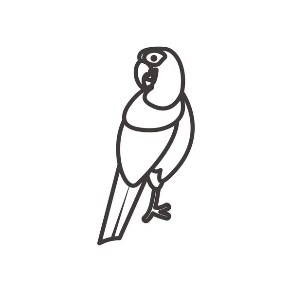 Blauw macaw vogel lijn stijl pictogram vector ontwerp — Stockvector