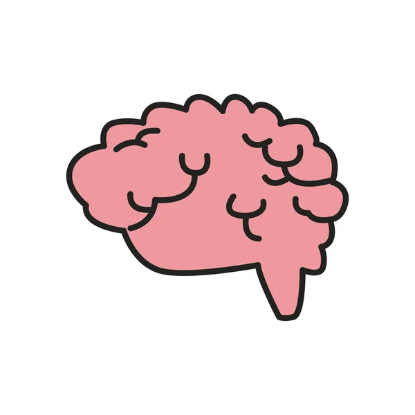人間の脳線と塗りつぶしスタイルのアイコンベクトルデザイン — ストックベクタ