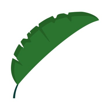 Tropikal palmiye yaprağı düz biçim vektör tasarımı