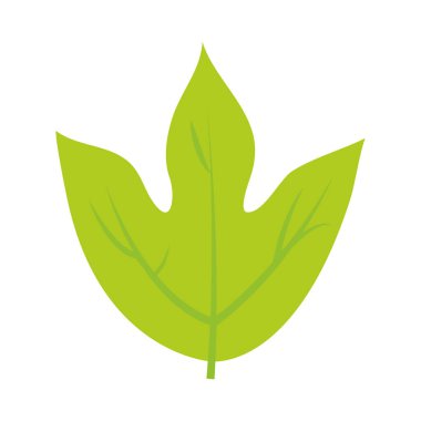 tropikal yaprak düz biçim vektör tasarımı