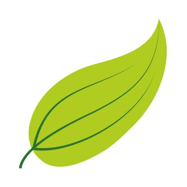 tropikal yaprak düz biçim vektör tasarımı