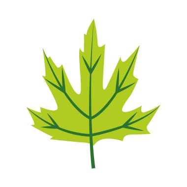 tropikal yaprak düz biçim vektör tasarımı