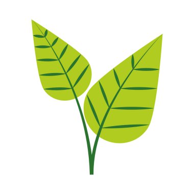 tropikal yaprak düz biçim vektör tasarımı