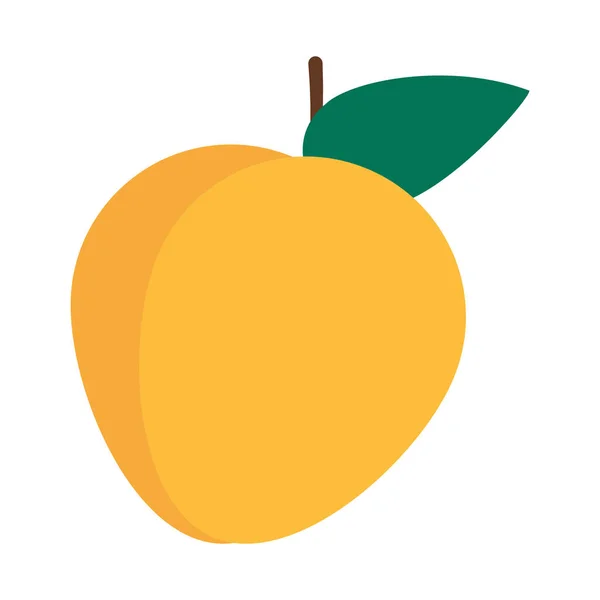 Loquat frukt ikon, platt stil — Stock vektor
