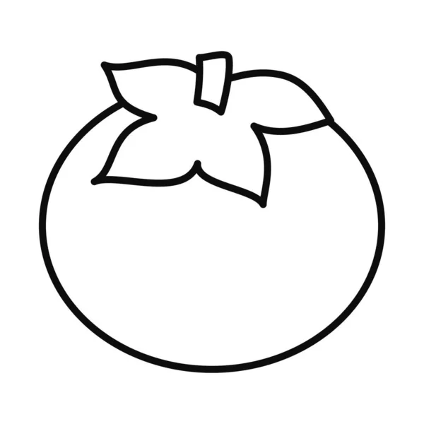 Tomate légume style ligne icône vecteur design — Image vectorielle