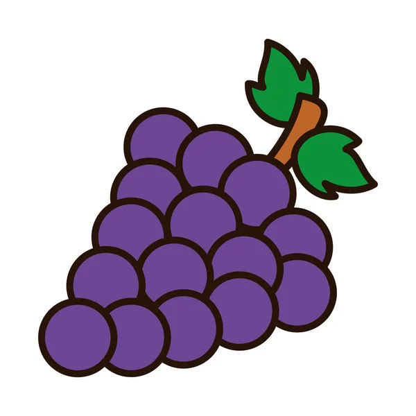 Druiven fruit lijn en vul stijl pictogram vector ontwerp — Stockvector