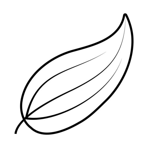 Tropikal yaprak çizgisi biçim vektör tasarımı — Stok Vektör