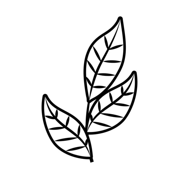 Feuille tropicale style ligne icône vectoriel design — Image vectorielle