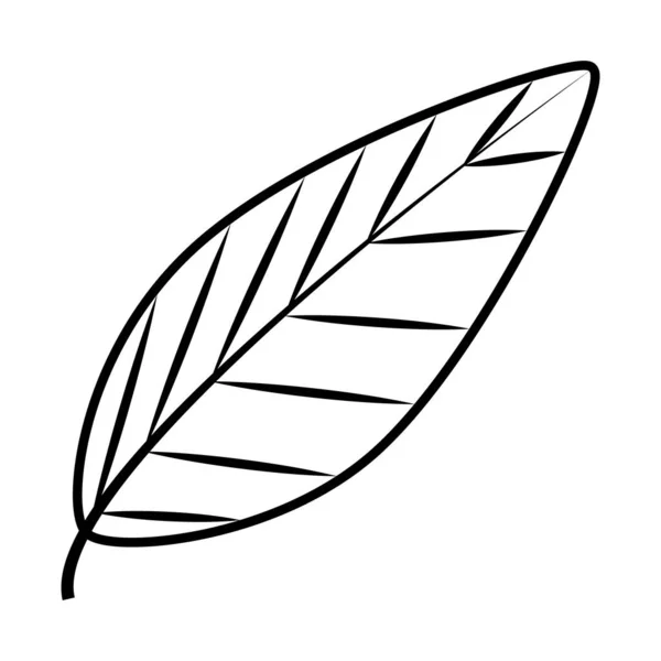Tropikal yaprak çizgisi biçim vektör tasarımı — Stok Vektör