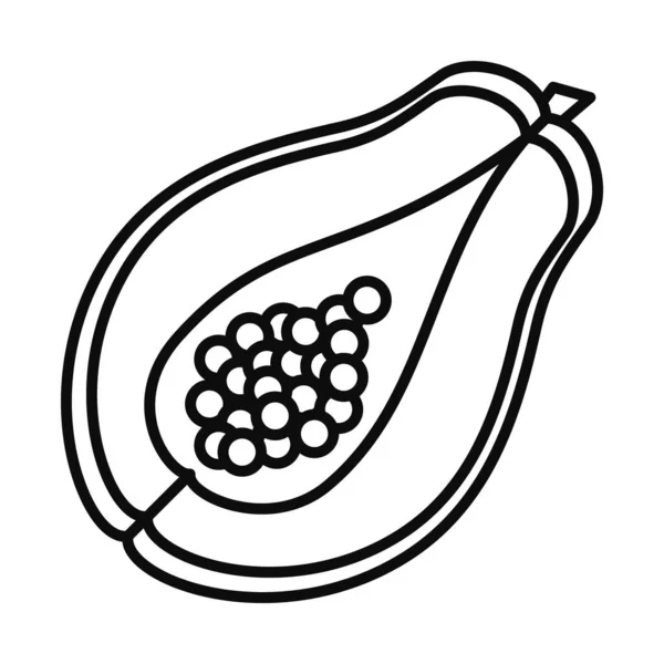 Mamão linha de frutas estilo ícone vetor design — Vetor de Stock