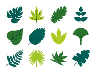 Tropikal yapraklar düz biçim ikon set vektör tasarımı