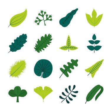 Tropikal yapraklar düz biçim ikon set vektör tasarımı