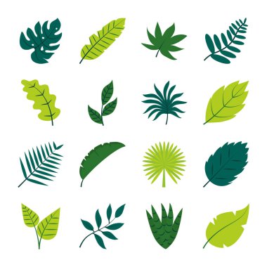 Tropikal yapraklar düz biçim ikon set vektör tasarımı