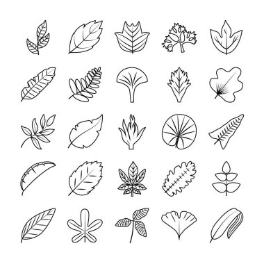 tropikal yaprak biçimi biçim vektör dizaynı