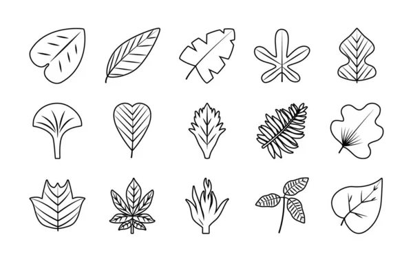 Folhas tropicais linha estilo ícone conjunto vetor design —  Vetores de Stock