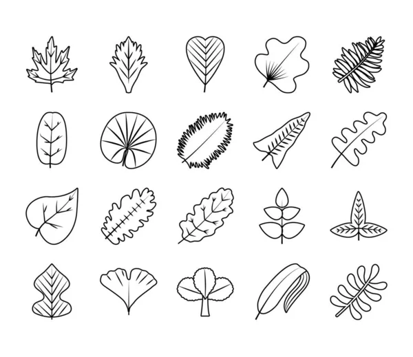 Hojas tropicales línea estilo icono conjunto vector diseño — Vector de stock