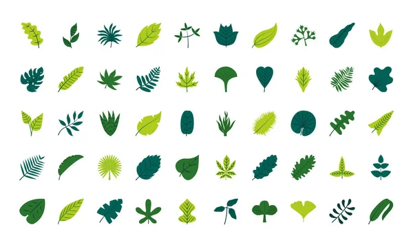 Tropische Blätter flache Stil-Ikone Vektor-Design — Stockvektor