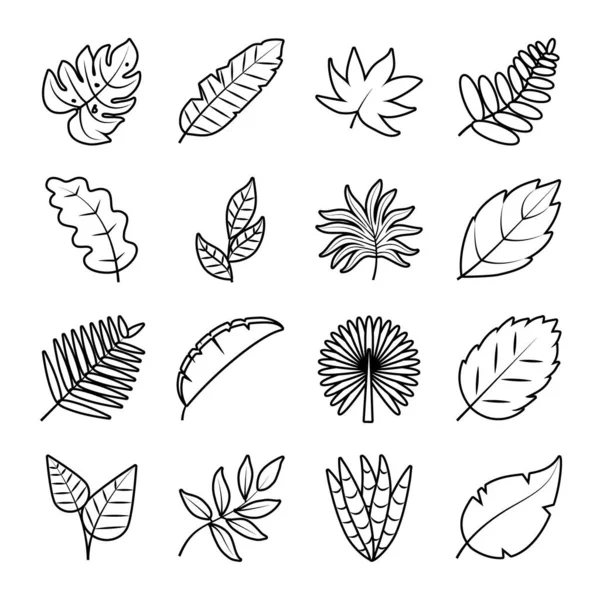 Hojas tropicales línea estilo icono conjunto vector diseño — Vector de stock