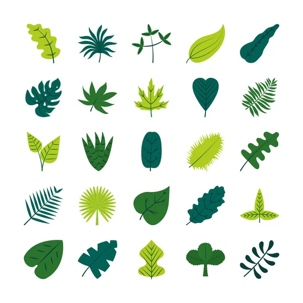 Tropische Blätter flache Stil-Ikone Vektor-Design — Stockvektor
