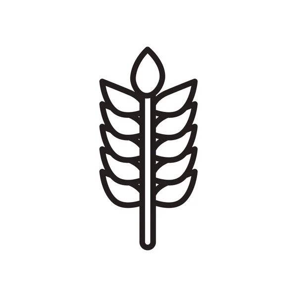 Піктограма стилю лінії вуха пшениці Векторний дизайн — стоковий вектор