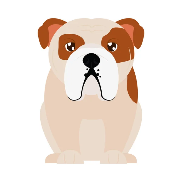 Kreslený buldok ikona psa, plochý styl — Stockový vektor