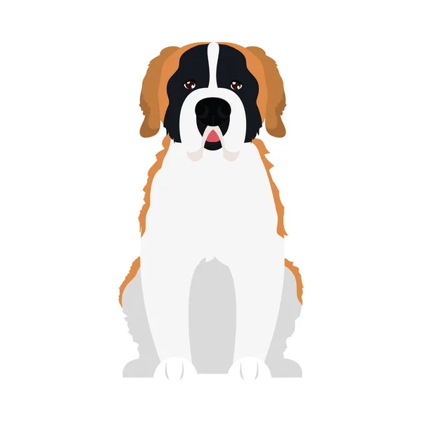 Çizgi film St. Bernard köpek simgesi, düz stil — Stok Vektör