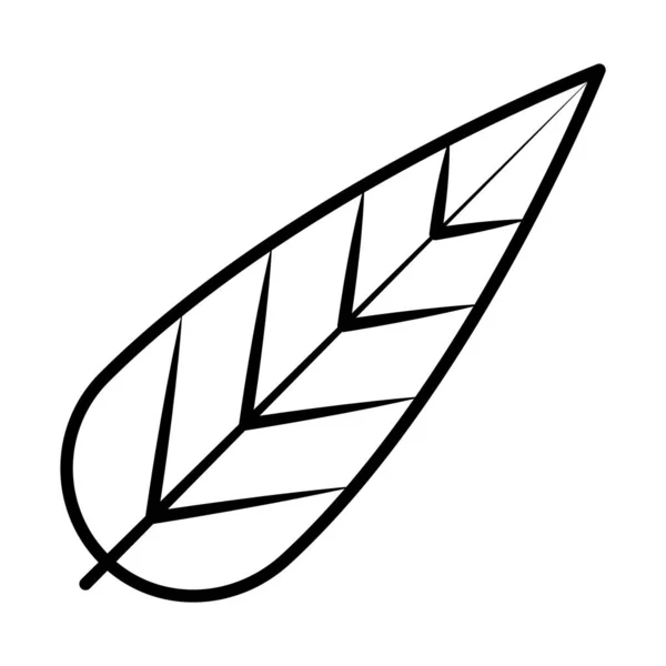 Dekorativ fjäder ikon, linje stil — Stock vektor