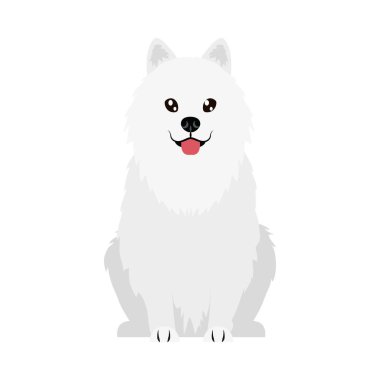 çizgi film maltese köpek simgesi, düz stil