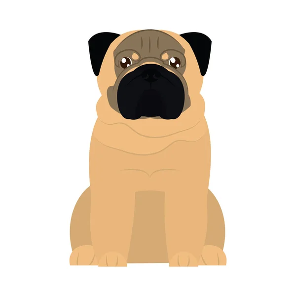 Icona del cane carlino, stile piatto — Vettoriale Stock
