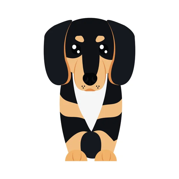 Icono de perro de dibujos animados daschund, estilo plano — Archivo Imágenes Vectoriales