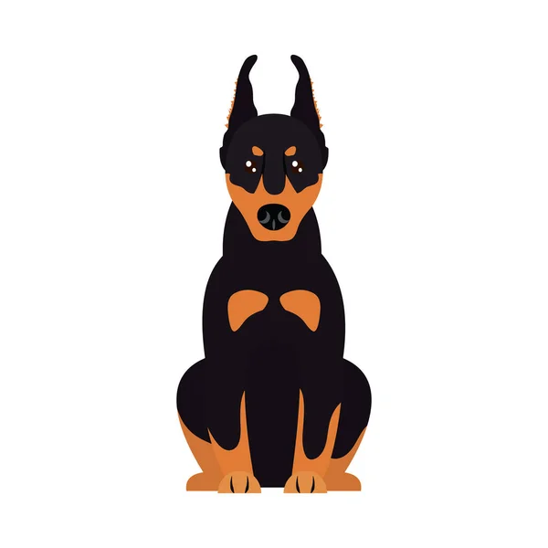 Cartoon doberman dog icon, flat style — Stock Vector