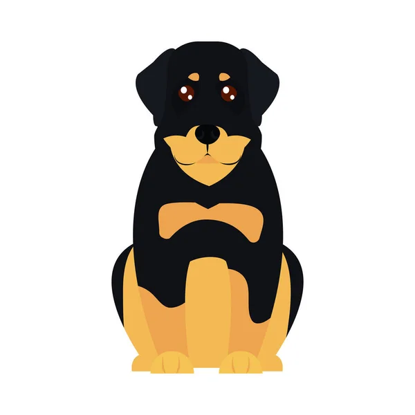 Ikona psa rottweiler kreskówki, płaski styl — Wektor stockowy