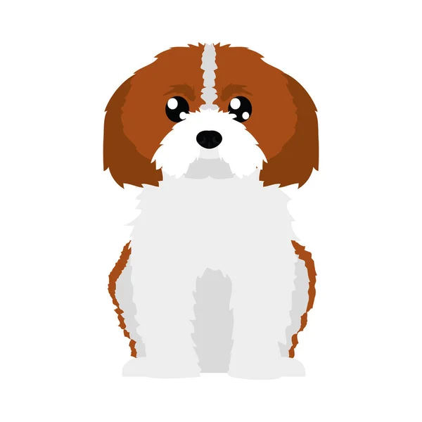 Kavalír pes ikona, plochý styl — Stockový vektor