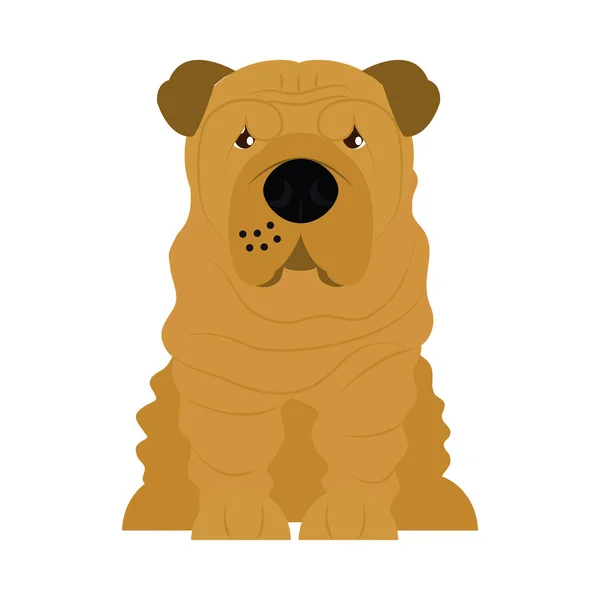 Cartoon sharpei dog icon, flat style — Stock Vector