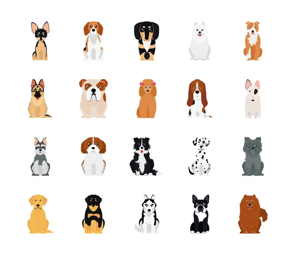 Conjunto de ícones de pinscher e cães, estilo plano — Vetor de Stock